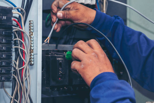 Best Home Electrical Repair  in Avoca, IA